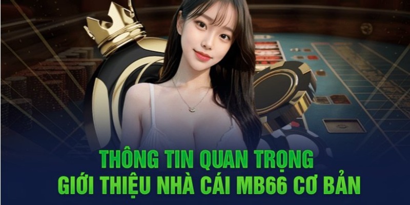 Giảm giá game cấp N666 - N666