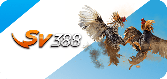 V99 Tigrinho: Người chơi mới có thể nhận được những phần thưởng gì? - V99