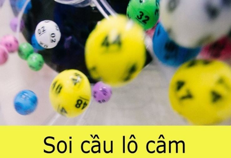 Liệu Mibet có phải là lựa chọn cá cược tốt nhất? - Mibet