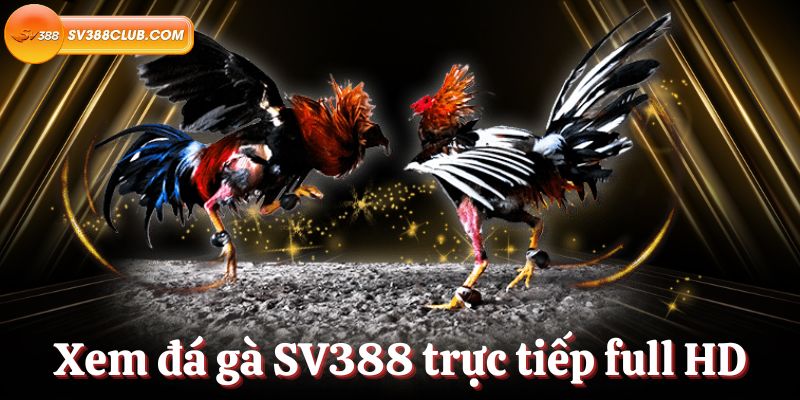 C168 thường xuyên tổ chức các sự kiện khuyến mãi và sự kiện tri ân khách hàng - C168