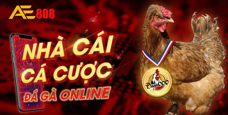 Đánh giá chi tiết và toàn diện nhất về trang web game cấp độ Nbet - Nbet