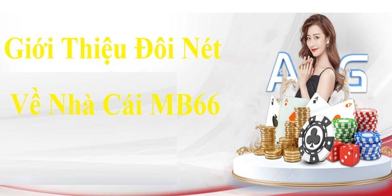 Win55 đã cải tiến và đơn giản hóa hoạt động của mình - Win55