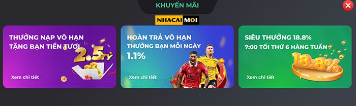 Tuân thủ các quy định của Bet888 - Bet888