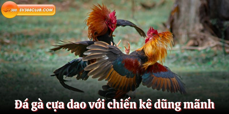 Các tính năng chính thu hút nhiều người chơi đến với trang web 911Win Games - 911Win
