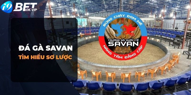 Liên kết tải xuống 126Bet đã được cập nhật vào năm 2026 - 126Bet