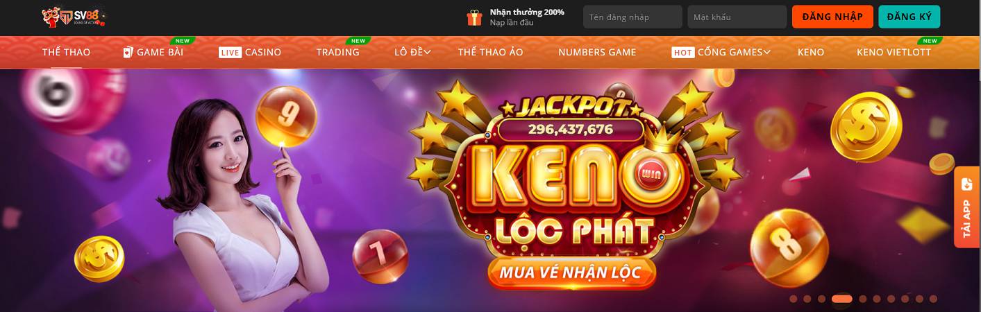 Sự cố Gg8: Kinh nghiệm và chiến lược của cộng đồng - Gg8